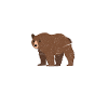 Bear costume