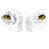 yeux