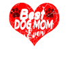 Dog owner dog owner