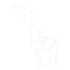 Loup et papillons