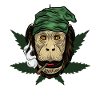 Kiffender Monkey With Joint