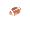 Rugby