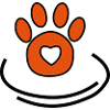 Dog paws