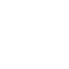 Parson Russell Terrier Jack Russell