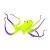 Octopus neon