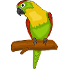 parrot