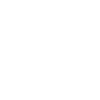 Fox Terrier