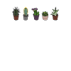 Cacti Are Friends