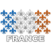 France fleurs de lys