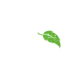 Protection de l’environnement éolien