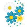 fleurs