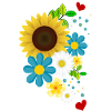 fleurs
