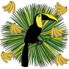 Toucan