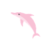Pink dolphin