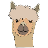 Smiling llama sweet alpaca