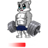 Cat Installing Muscles Weightlifting
