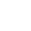 Aikido Master