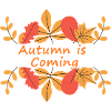 Temps d'automne - L'automne arrive