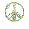 Peace flowers leaves branches