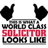 world class solicitor