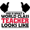 world class teacher