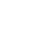 Cargo vélo chien