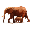 Elephant low poly