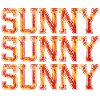 sunny sunny sunny