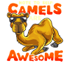 Camel Camels Rolig ordstäv Egypten Gift