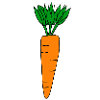 carrot