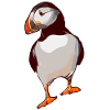 Puffin