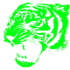 tiger