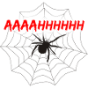 Fear of spider with web