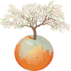 Earth - apple tree
