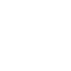 Roi lion