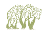 Bear forest