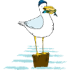 gull