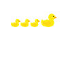 Rubber Duck