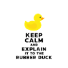 Programmer rubber duck debug