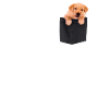 Labrador