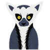 Lemur Affchen