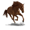 Cheval