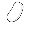Bean