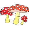mushroom