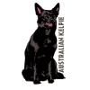 Australian Kelpie