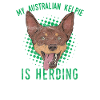 Australian kelpie
