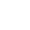 Wushu ( Chinese ) Ink Calligraphy
