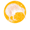Kiwi bird Nouvelle Zélande
