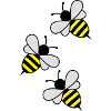 bees