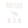 The Beetles Funny
